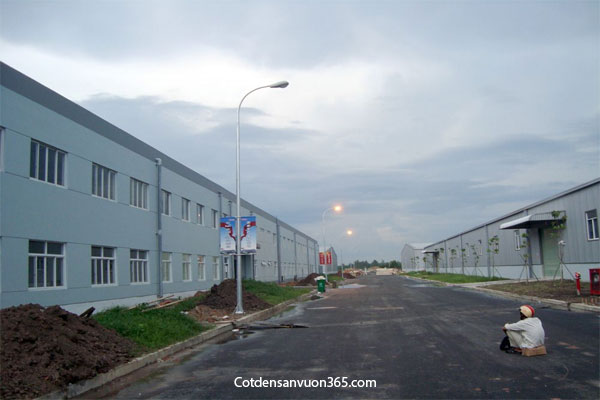 Cột Đèn Cao Áp 7m 7 Cột Đèn Cao Áp 7m Cột đèn sân vườn 365